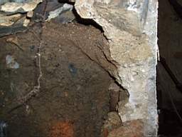 coolross 2475.jpg